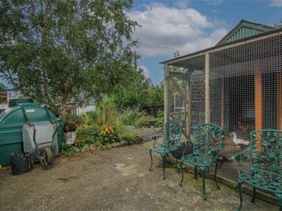 Picture 25